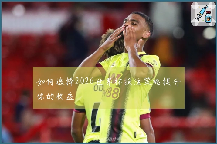 如何选择2026世界杯投注策略提升你的收益