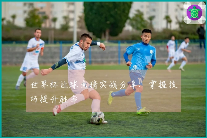 世界杯让球竞猜实战分享：掌握技巧提升胜率