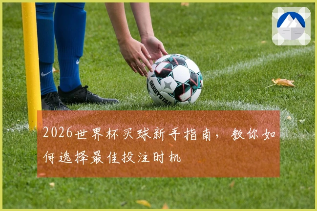 2026世界杯买球新手指南，教你如何选择最佳投注时机