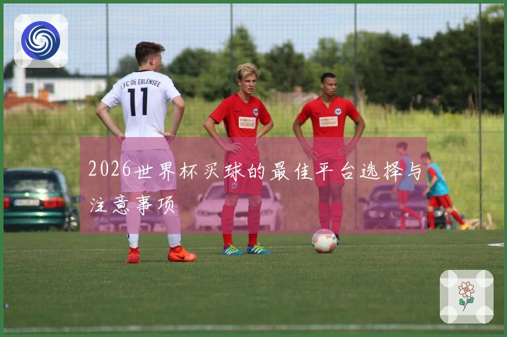 2026世界杯买球的最佳平台选择与注意事项