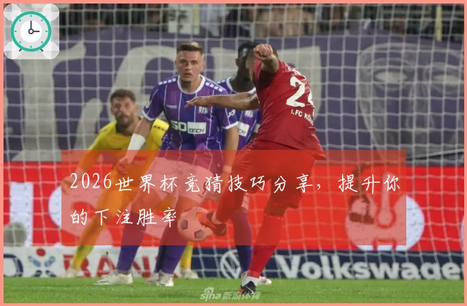 2026世界杯竞猜技巧分享，提升你的下注胜率