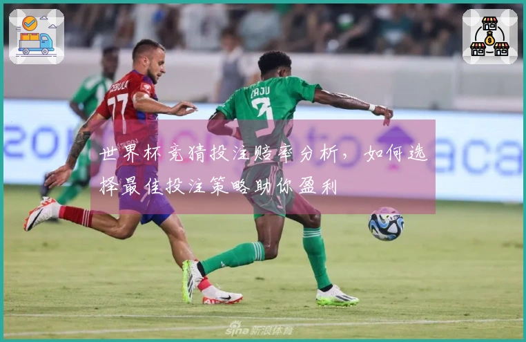 世界杯竞猜投注赔率分析，如何选择最佳投注策略助你盈利