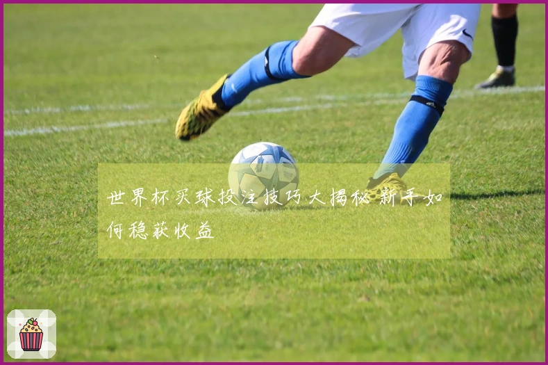 世界杯买球投注技巧大揭秘 新手如何稳获收益