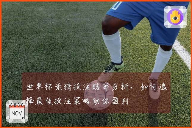 世界杯竞猜投注赔率分析，如何选择最佳投注策略助你盈利