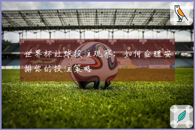 世界杯让球投注观察：如何合理安排你的投注策略